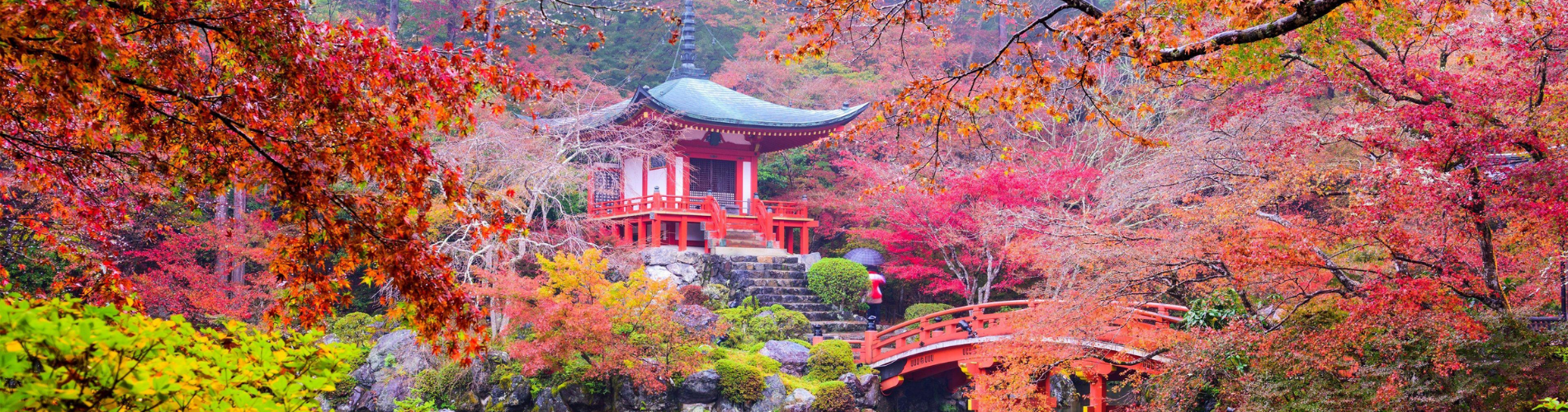 10 Days, 8 Nights Japan